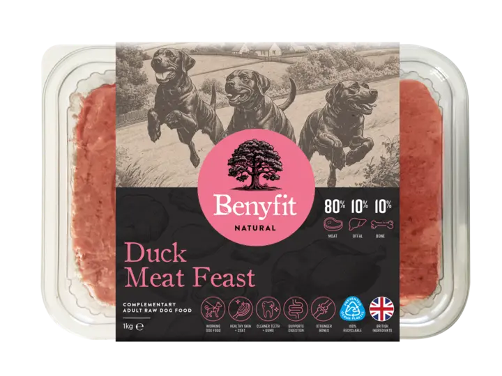 benyfit-natural-801010-duck-meat-feast-raw-adult-dog-food-wbqn.jpg