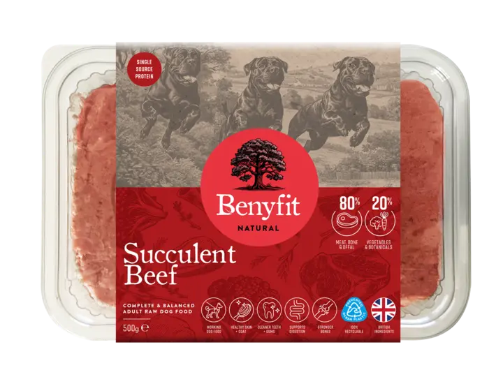 benyfit-succulent-beef-complete-adult-raw-dog-food-fbc6.jpg