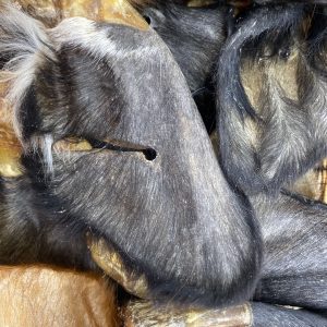 XL Cow Ears Hairy
