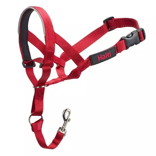 halti-red-headcollar-for-dogs-divt.jpg