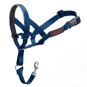 Halti Headcollar Cobalt Blue